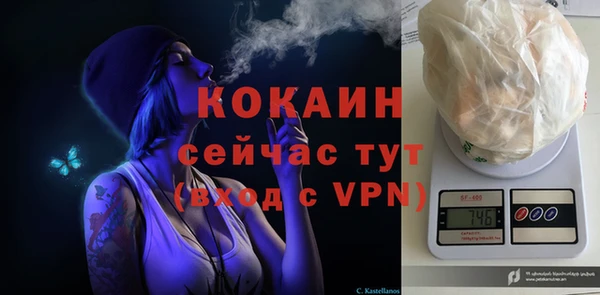 спиды Алзамай