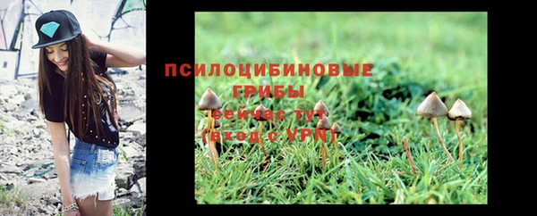синтетический гашиш Алексеевка