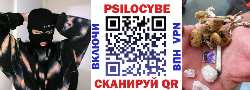 цена   Карасук  Галлюциногенные грибы Psilocybe 